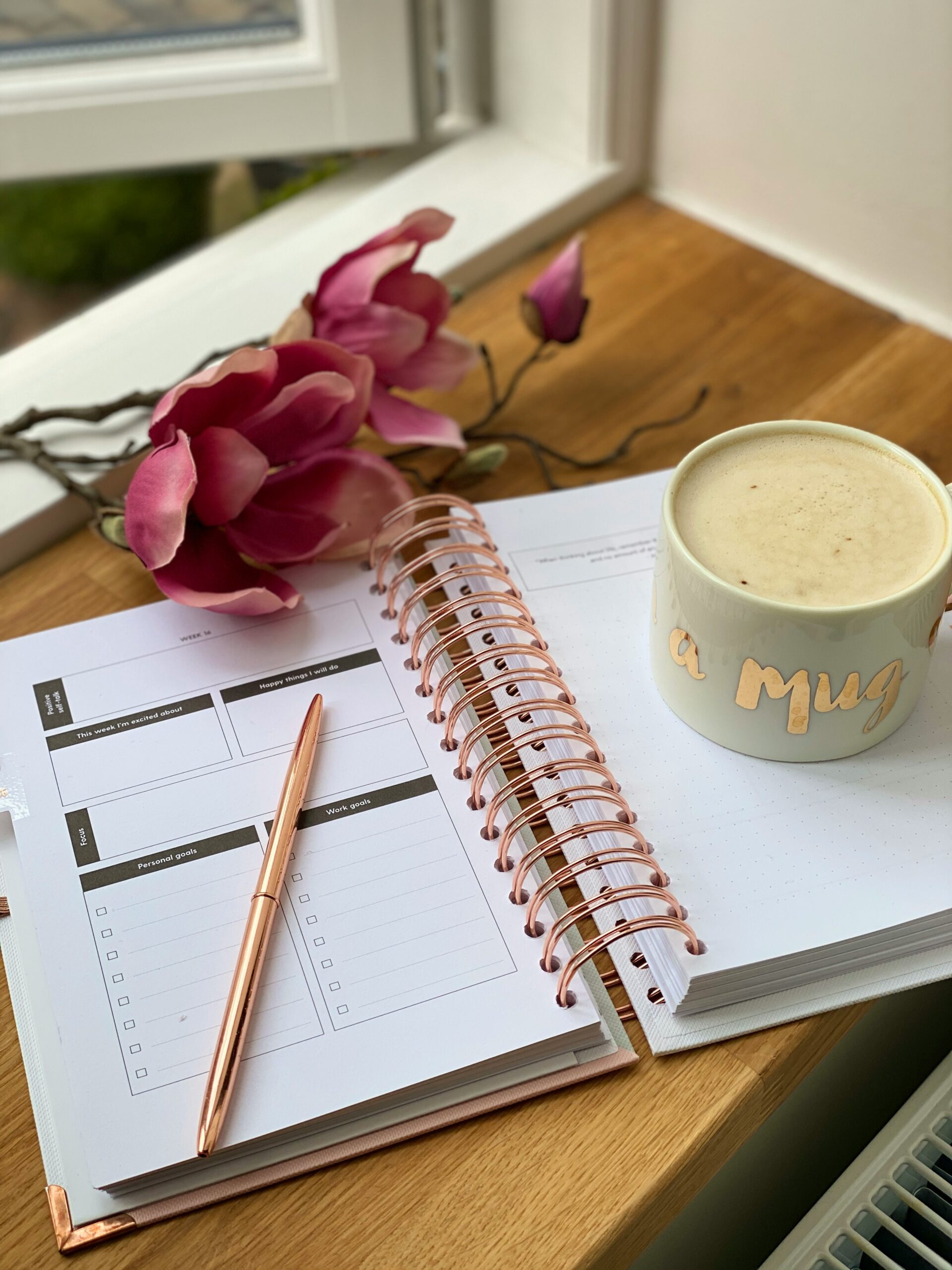 jelena-mirkovic-sl5QSCQM_Lc-unsplash